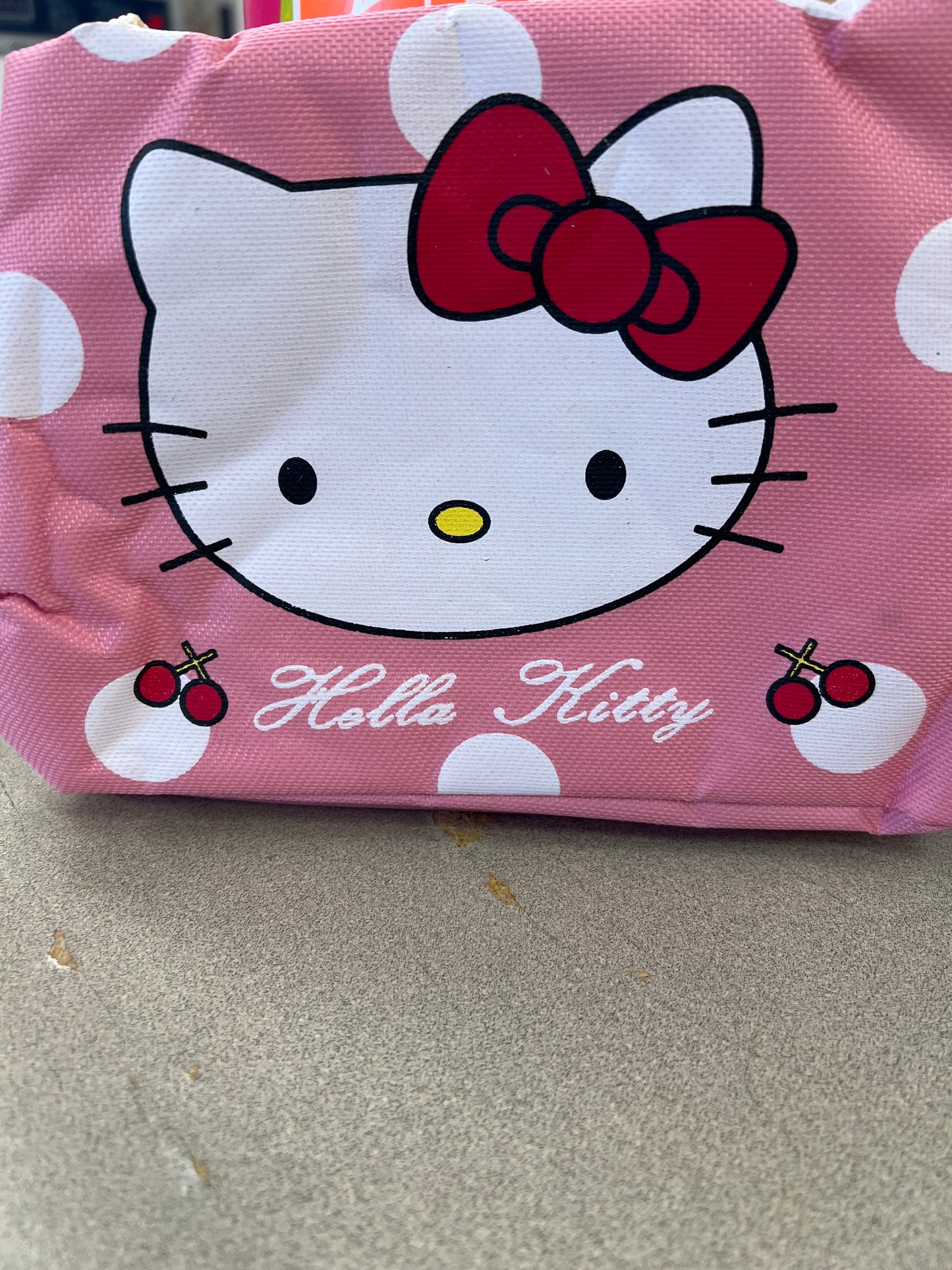 Insulated kitty bag