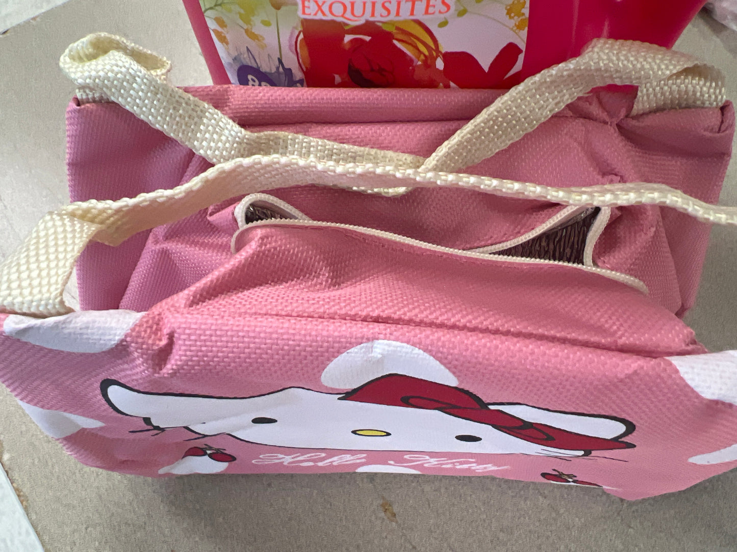 Insulated kitty bag